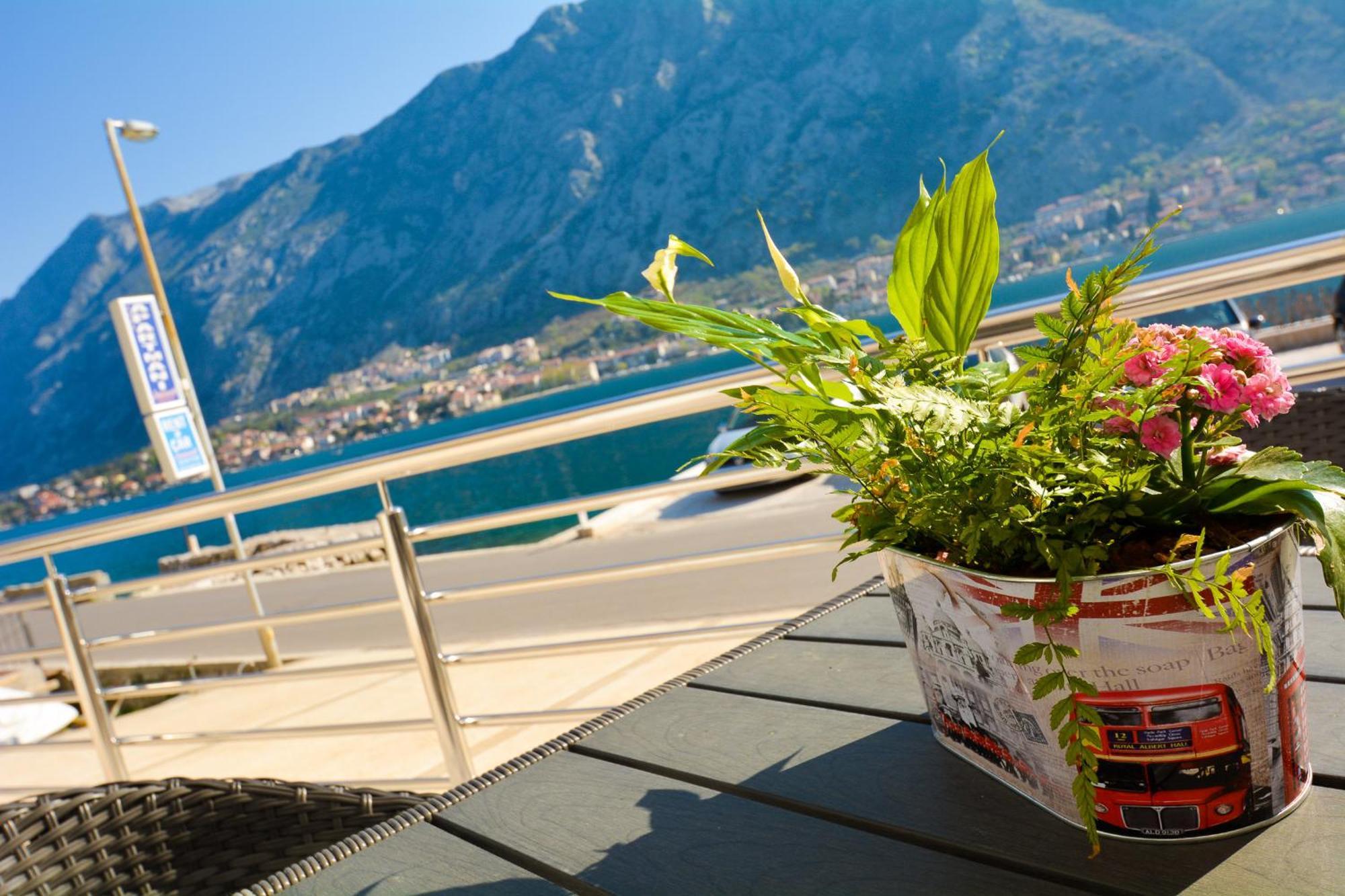 Apartments Jovanovic Kotor Rum bild